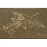 Sobrevuelo Líneas de Nazca