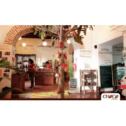 copy of Artistic Barranco & Pisco Class with Krisna